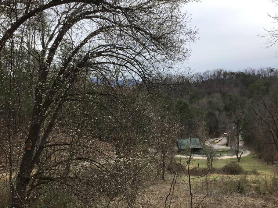 Dollywood-Brand New Dancing Bear 4 Villa Pigeon Forge Exterior foto